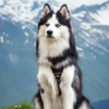 Woolly Wolf Oprsnica Softline Woodland - Image 5