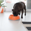 OH Bowl® - Image 3