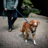 Woolly Wolf Oprsnica Roam Deep Teal Ripple - Image 3