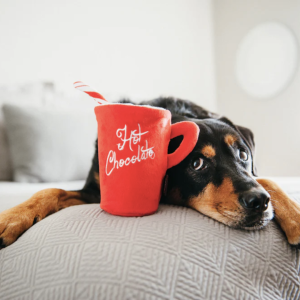 P.L.A.Y. Božična Vroča Čokolada